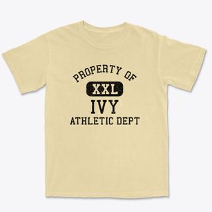 Ivy Virginia Athletic Dept Premium Heavyweight T-shirt