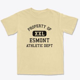 Esmont Virginia Athletic Dept Premium Heavyweight T-shirt