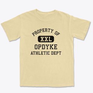 Opdyke Illinois Athletic Dept Premium Heavyweight T-shirt