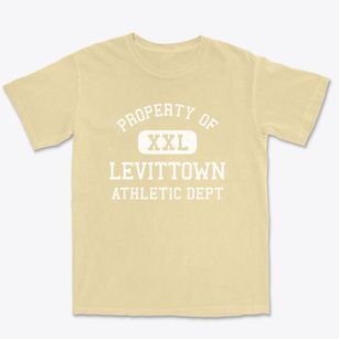 Levittown New York Athletic Dept Premium Heavyweight T-shirt