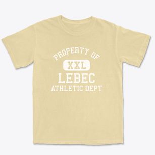 Lebec California Athletic Dept Premium Heavyweight T-shirt