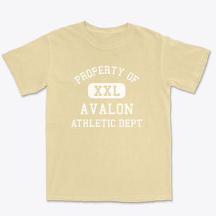 Avalon New Jersey Athletic Dept Premium Heavyweight T-shirt