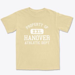 Hanover Illinois Athletic Dept Premium Heavyweight T-shirt