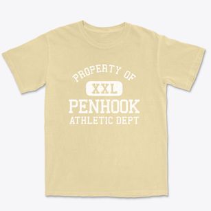 Penhook Virginia Athletic Dept Premium Heavyweight T-shirt