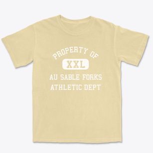 Au Sable Forks New York Athletic Dept Premium Heavyweight T-shirt
