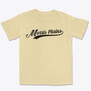 Morris Plains New Jersey Vintage Team Premium Heavyweight T-shirt