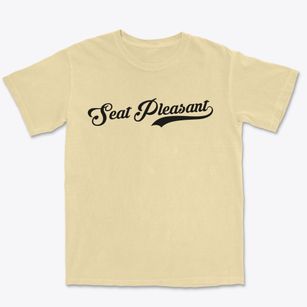 Seat Pleasant Maryland Vintage Team Premium Heavyweight T-shirt