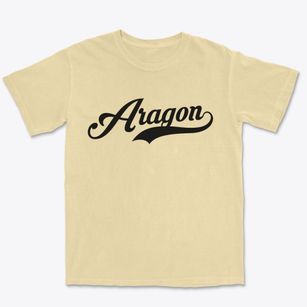 Aragon Georgia Vintage Team Premium Heavyweight T-shirt