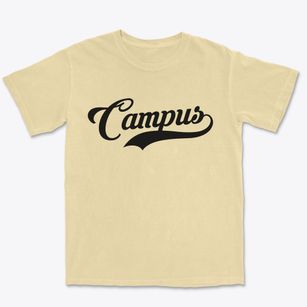 Campus Illinois Vintage Team Premium Heavyweight T-shirt