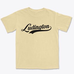 Ludington Michigan Vintage Team Premium Heavyweight T-shirt
