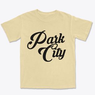 Park City Illinois Vintage Team Premium Heavyweight T-shirt