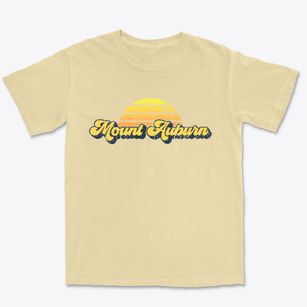 Mount Auburn Illinois Sublime Sunset Premium Heavyweight T-shirt