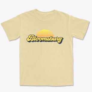 Bloomsburg Pennsylvania Sublime Sunset Premium Heavyweight T-shirt