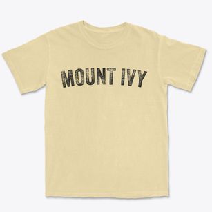 Mount Ivy New York Timeless Retro Premium Heavyweight T-shirt