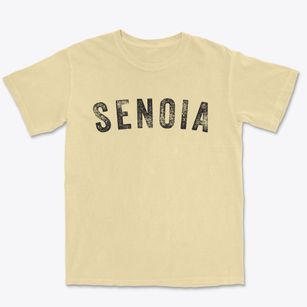 Senoia Georgia Timeless Retro Premium Heavyweight T-shirt