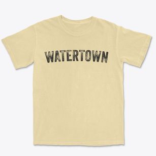 Watertown Florida Timeless Retro Premium Heavyweight T-shirt