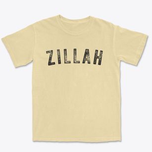 Zillah Washington Timeless Retro Premium Heavyweight T-shirt