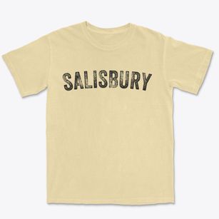 Salisbury New Hampshire Timeless Retro Premium Heavyweight T-shirt