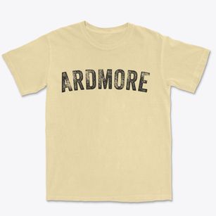 Ardmore Tennessee Timeless Retro Premium Heavyweight T-shirt