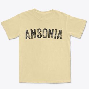 Ansonia Connecticut Timeless Retro Premium Heavyweight T-shirt