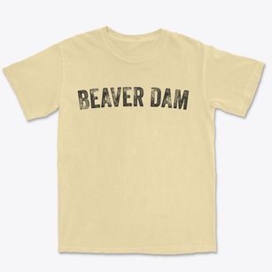 Beaver Dam Wisconsin Timeless Retro Premium Heavyweight T-shirt