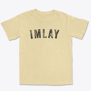Imlay Nevada Timeless Retro Premium Heavyweight T-shirt