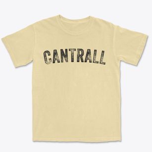 Cantrall Illinois Timeless Retro Premium Heavyweight T-shirt