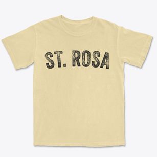St. Rosa Minnesota Timeless Retro Premium Heavyweight T-shirt
