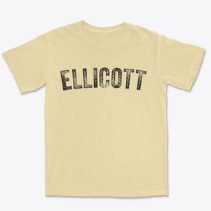 Ellicott New York Timeless Retro Premium Heavyweight T-shirt