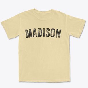 Madison Wisconsin Timeless Retro Premium Heavyweight T-shirt