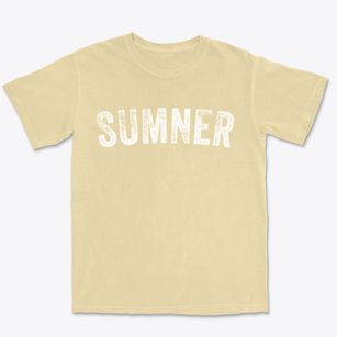 Sumner Missouri Timeless Retro Premium Heavyweight T-shirt