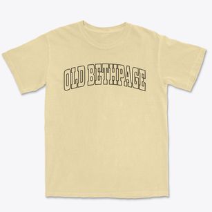 Old Bethpage New York Trendy Block Premium Heavyweight T-shirt