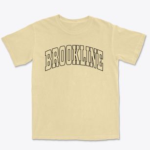 Brookline New Hampshire Trendy Block Premium Heavyweight T-shirt