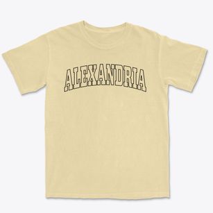 Alexandria Louisiana Trendy Block Premium Heavyweight T-shirt
