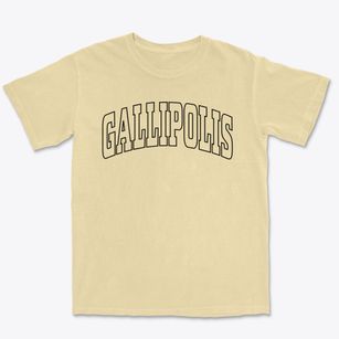 Gallipolis Ohio Trendy Block Premium Heavyweight T-shirt