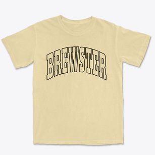 Brewster New York Trendy Block Premium Heavyweight T-shirt