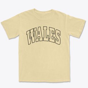 Wales Massachusetts Trendy Block Premium Heavyweight T-shirt