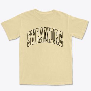 Sycamore Georgia Trendy Block Premium Heavyweight T-shirt
