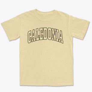Caledonia Ohio Trendy Block Premium Heavyweight T-shirt