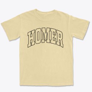 Homer Nebraska Trendy Block Premium Heavyweight T-shirt