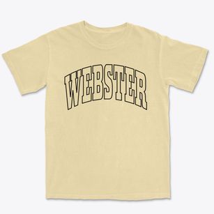 Webster North Carolina Trendy Block Premium Heavyweight T-shirt