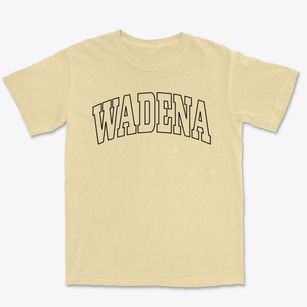 Wadena Iowa Trendy Block Premium Heavyweight T-shirt