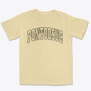 Pontoosuc Illinois Trendy Block Premium Heavyweight T-shirt