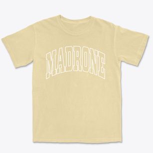 Madrone New Mexico Trendy Block Premium Heavyweight T-shirt