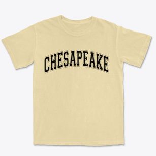 Chesapeake Virginia Varsity Premium Heavyweight T-shirt