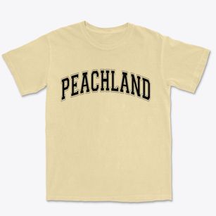 Peachland North Carolina Varsity Premium Heavyweight T-shirt