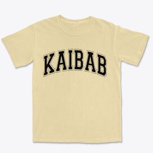 Kaibab Arizona Varsity Premium Heavyweight T-shirt
