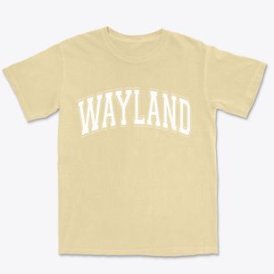 Wayland Michigan Varsity Premium Heavyweight T-shirt