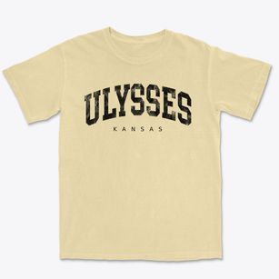Ulysses Kansas Urban Vibe Premium Heavyweight T-shirt