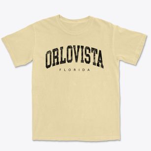 Orlovista Florida Urban Vibe Premium Heavyweight T-shirt